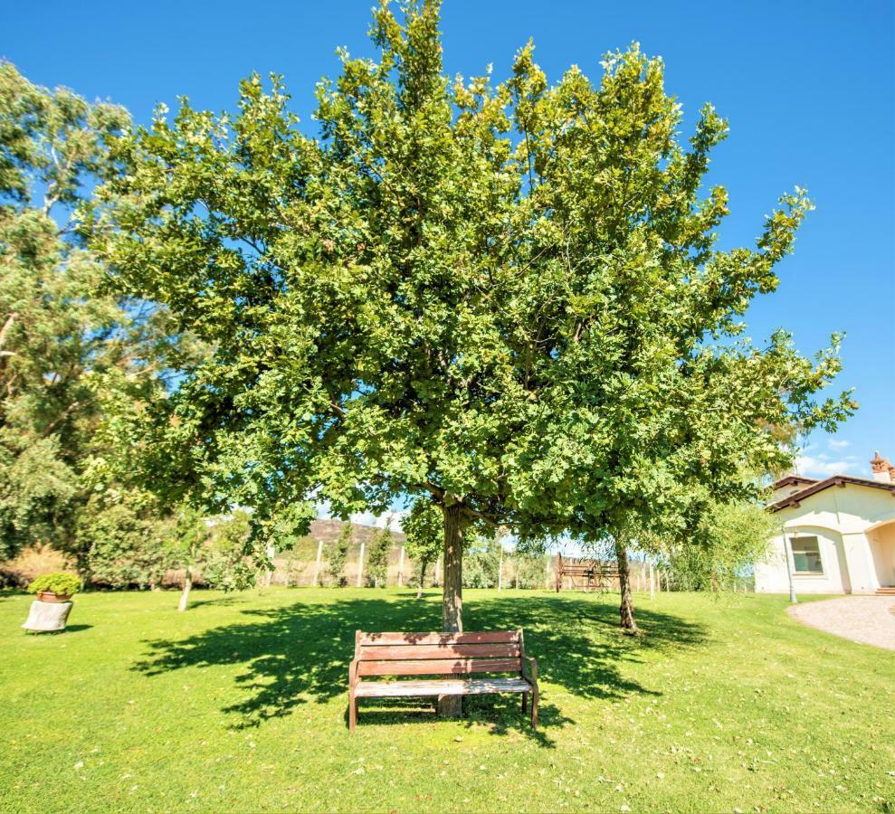 Villa Gli Eucalipti Cerveteri Exterior foto